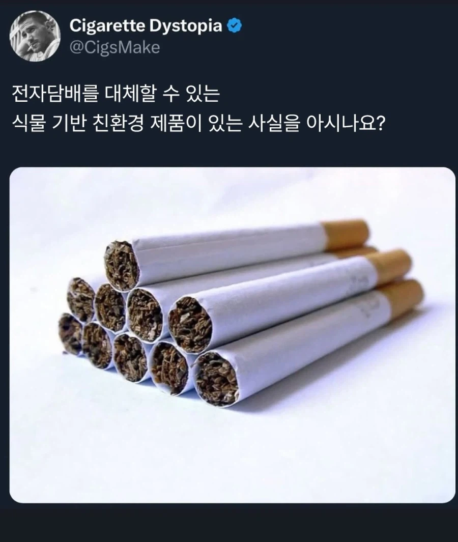 탈레반은 뭔가 행복하지 않았지? 이미지 3