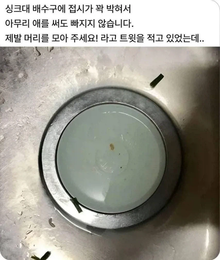 캐틀 뮤틸레이션(가축납치).jpg 대표 이미지