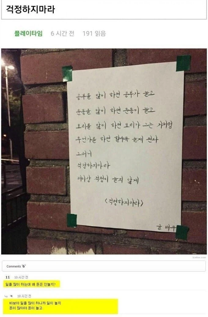 일본놈들 곰 대처법을 모르네 대표 이미지