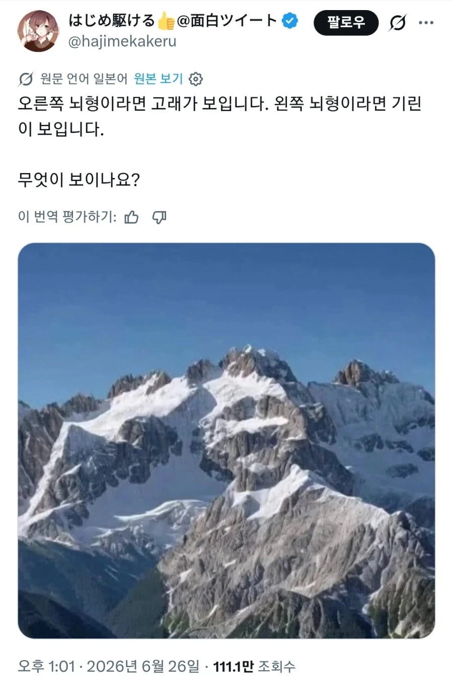 좌뇌는 돌고래, 우뇌는 기린이 보인다._1.webp