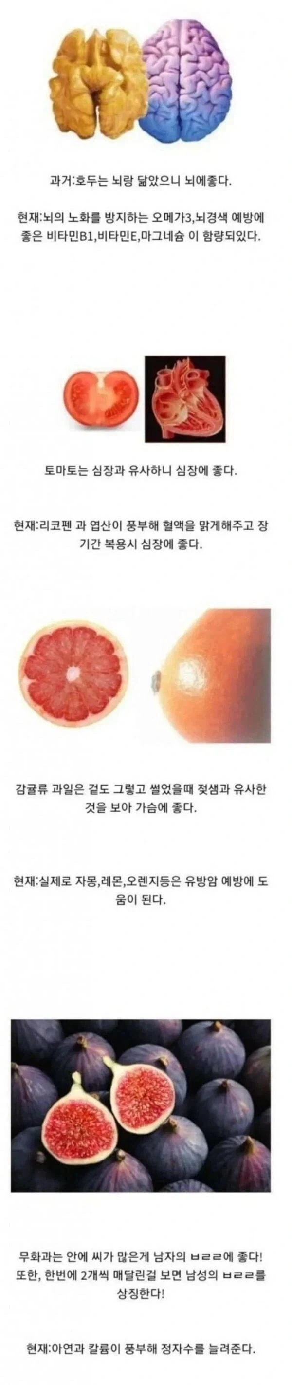 생긴대로 효능이 있는 음식들_1.webp