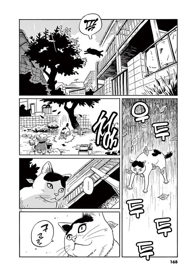 집고양이 분짱의 일년.manga_12.jpg