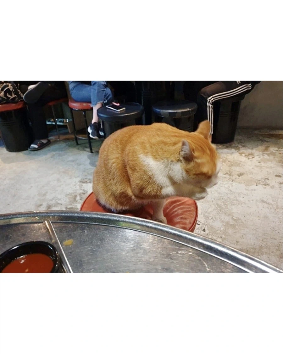 술 마시고 있는데 갑자기 모르는 분이 합석함._2.webp