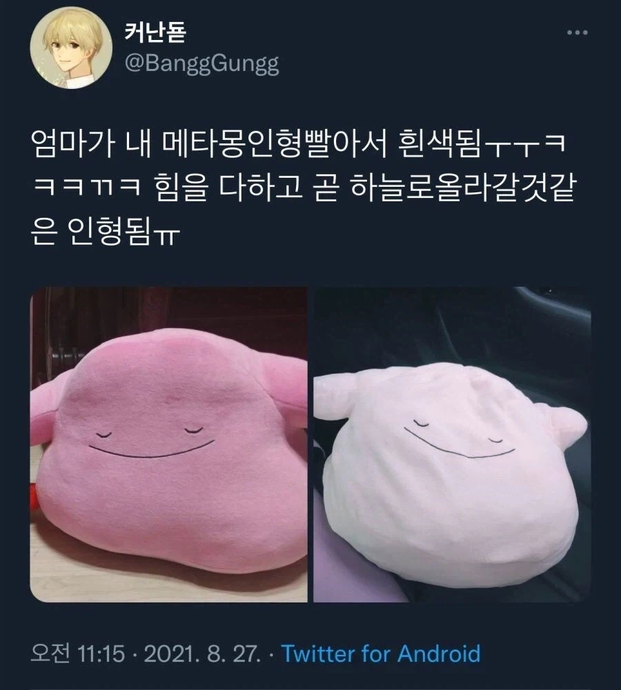 6v 개체 교배작 돌리다가 복상사한 메타몽_1.webp