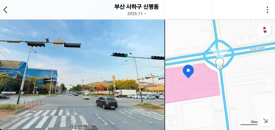 맷돼지는 냉혹한 부산의 도로에서 살아남기 어렵다_3.webp
