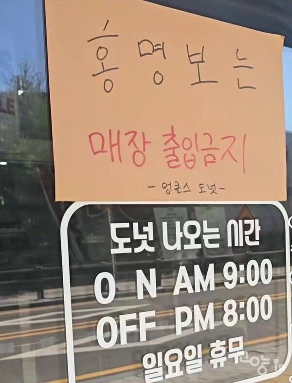 “대한민국은 지금, 홍명보에 미쳐있다”.jpg_4.webp
