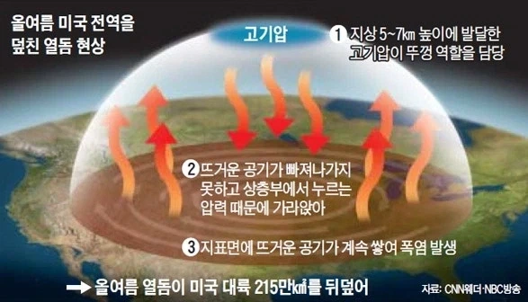 ?? : 뭐야 여긴 어딘데 내 애완 한국인 어디감??_1.webp