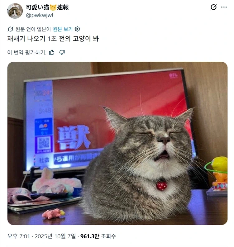 재채기 1초전.jpg_1.webp