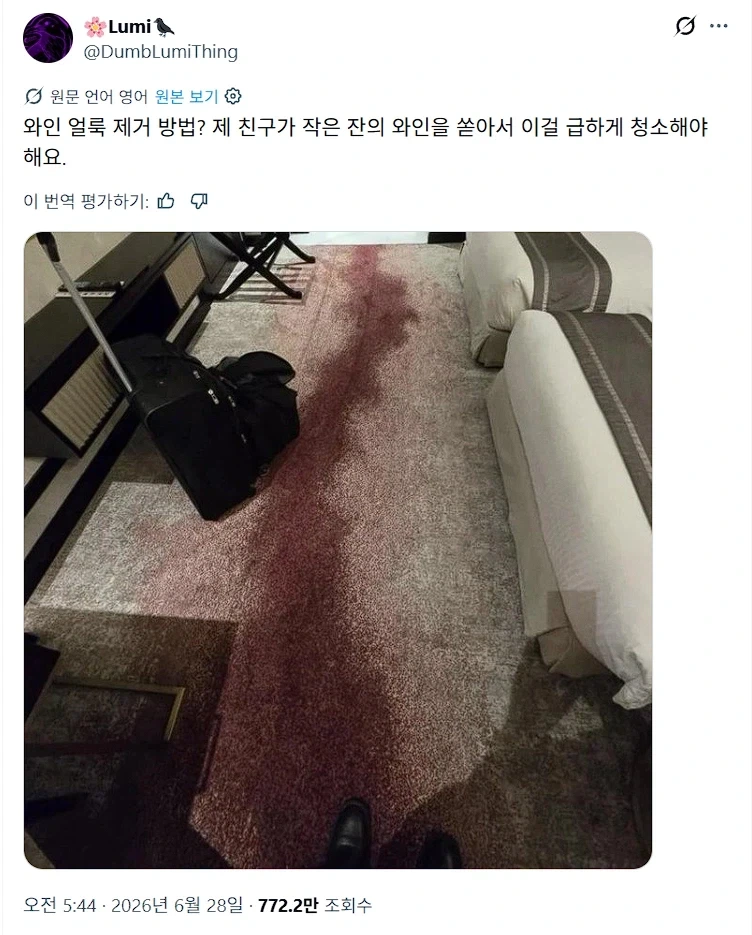 친구가 와인을 쏟아서 이걸 급하게 청소해야해요.jpg_1.webp