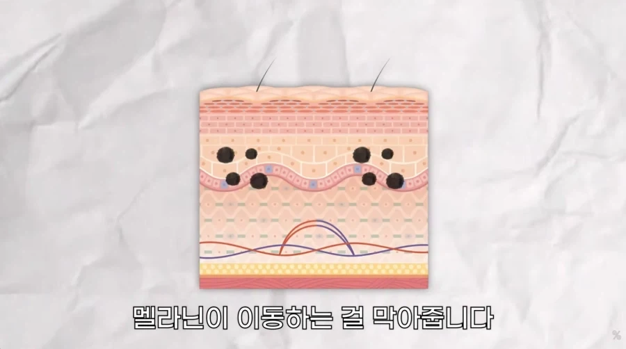 피부 하얘지는 방법_7.webp