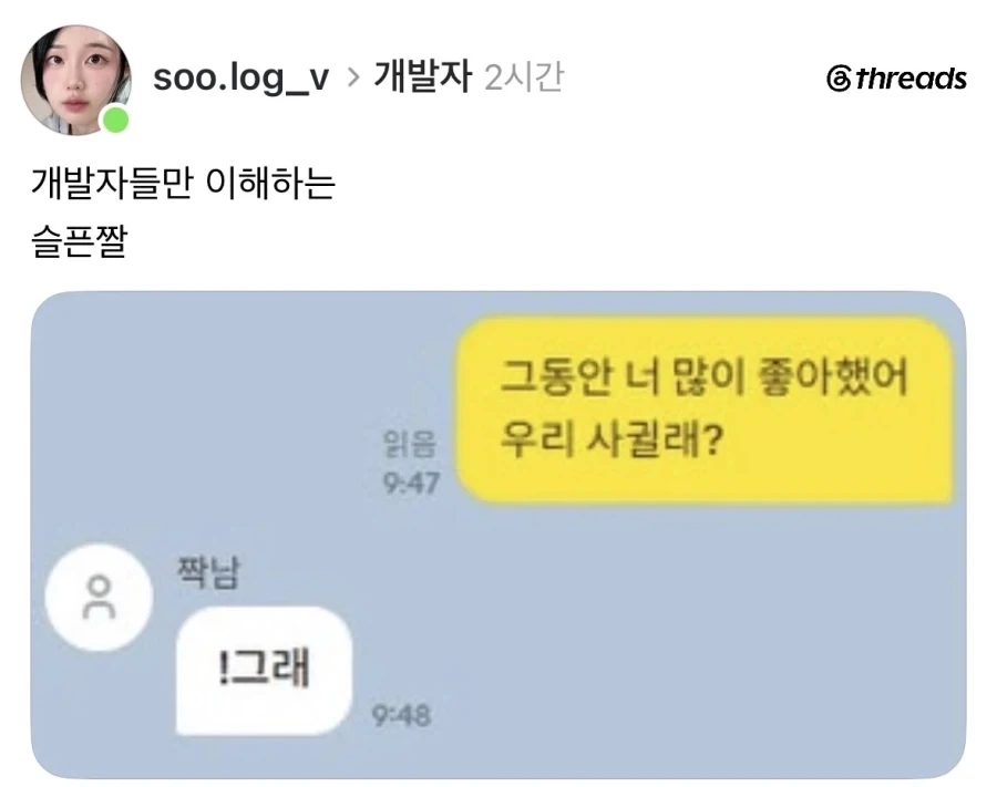 개발자는 슬퍼하는 짤.jpg_1.webp