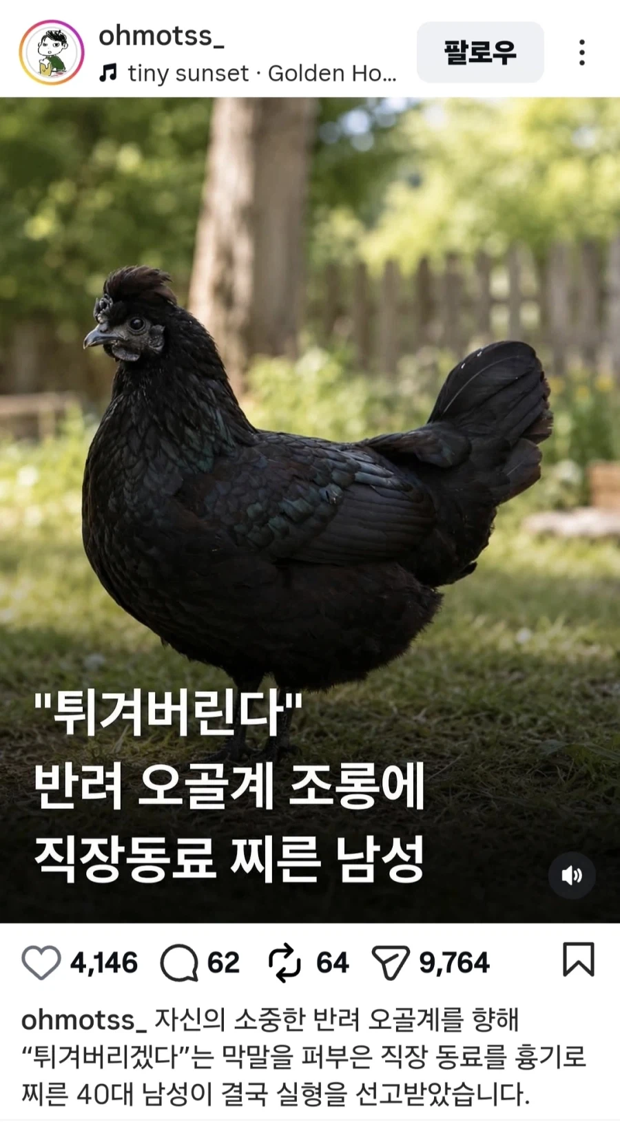 "털 벗겨 튀길 것"…반려 오골계 조롱한 동료에 흉기 휘둘렀다 실형 이미지 2