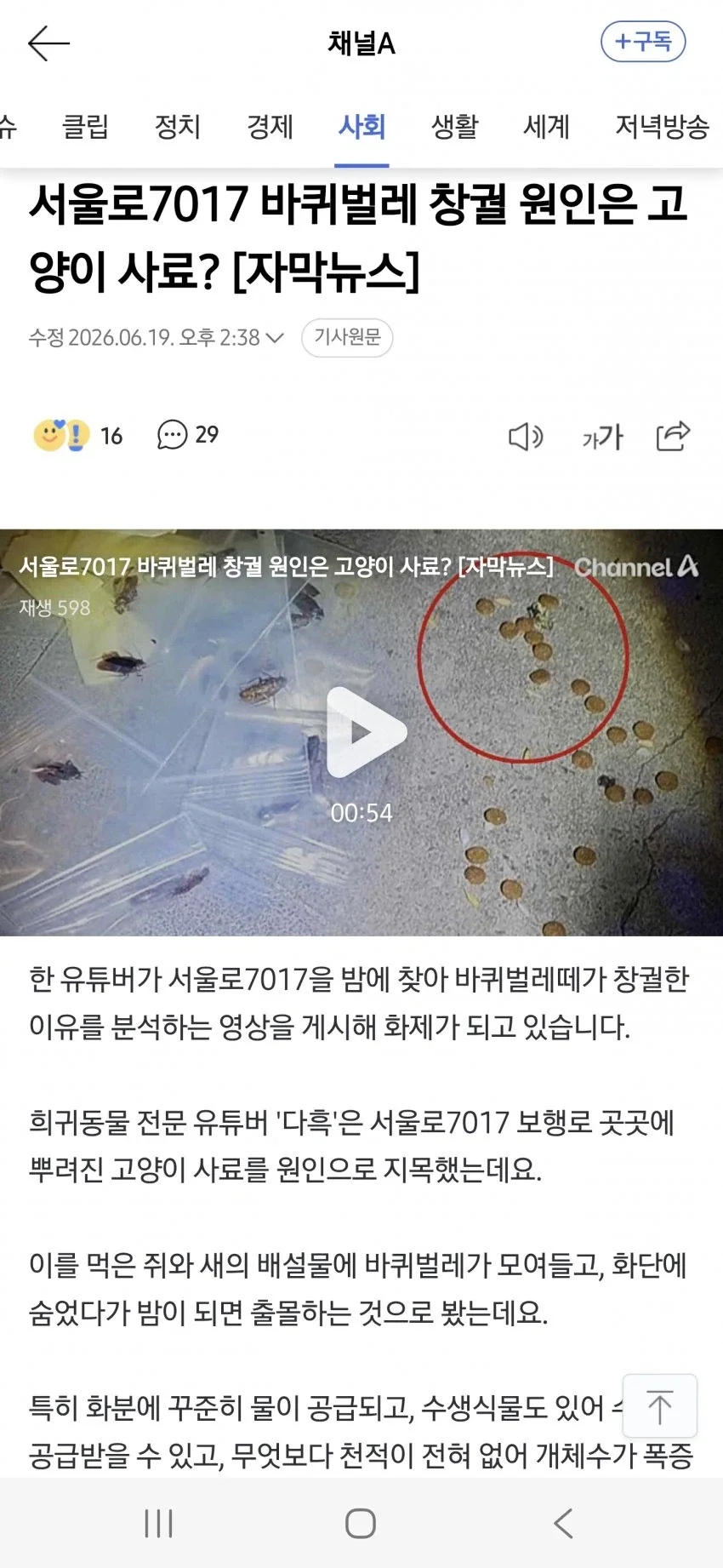 서울 벌레 사건 내막_1.webp