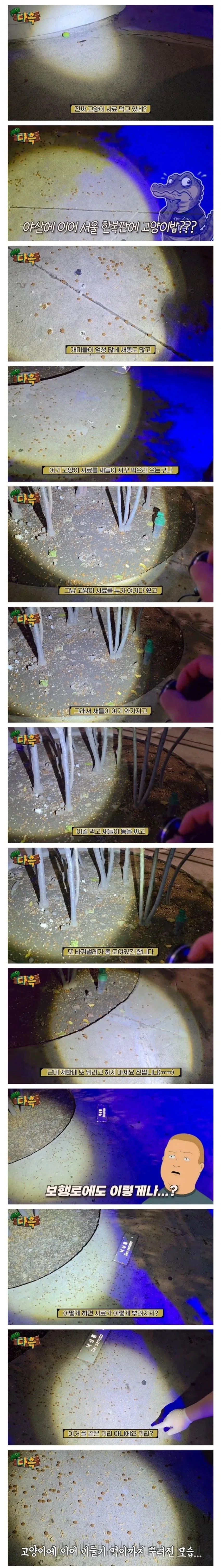 서울 벌레 사건 내막_2.webp
