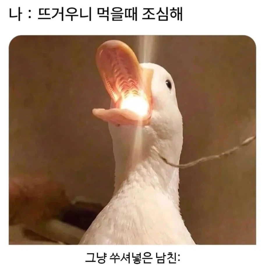 자기야 그거 뜨거우니까 불어서 먹어_1.webp