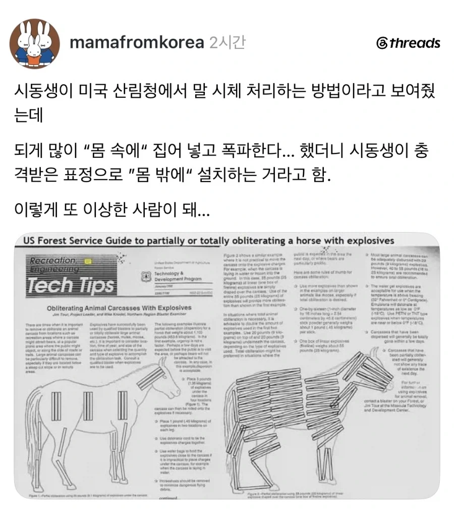 와 미국은 사체 처리도 파격적이네.jpg_1.webp