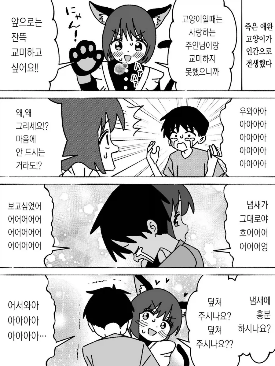 죽은 애완 고양이가 인간으로 전생했다.manhwa_1.webp