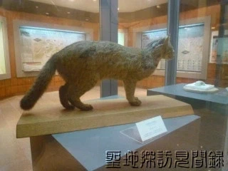 아즈망가 대왕에 나온 수학여행 실제 장소_13.webp