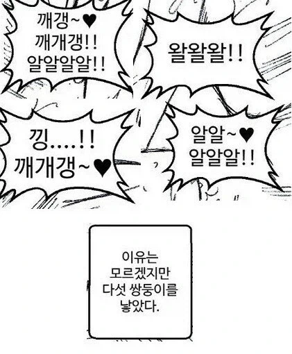 암캐와 수캐_2.webp