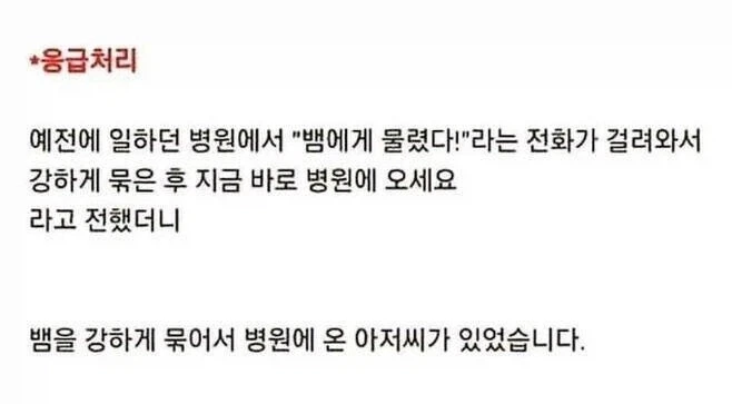 "하이고 이것도 생명인디 의사 양반이 참 너무허네." 대표 이미지