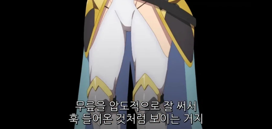 신속이라고 불리우는 여기사단장의 정체_2.webp