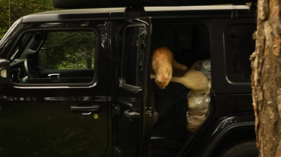 여태 봤던 캠핑 유튜버 중에서 제일 특이했던 캠퍼들_1.webp