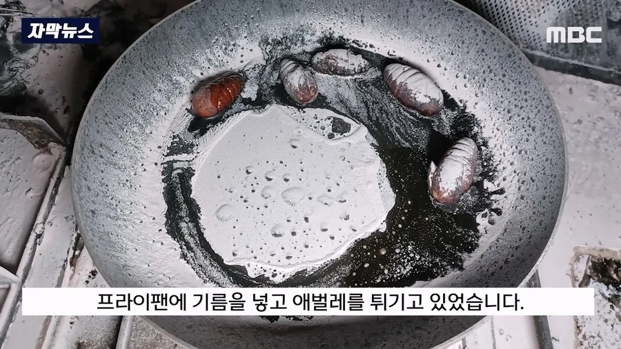 애벌레, 튀겨 먹다 부천 화재사건_1.jpg