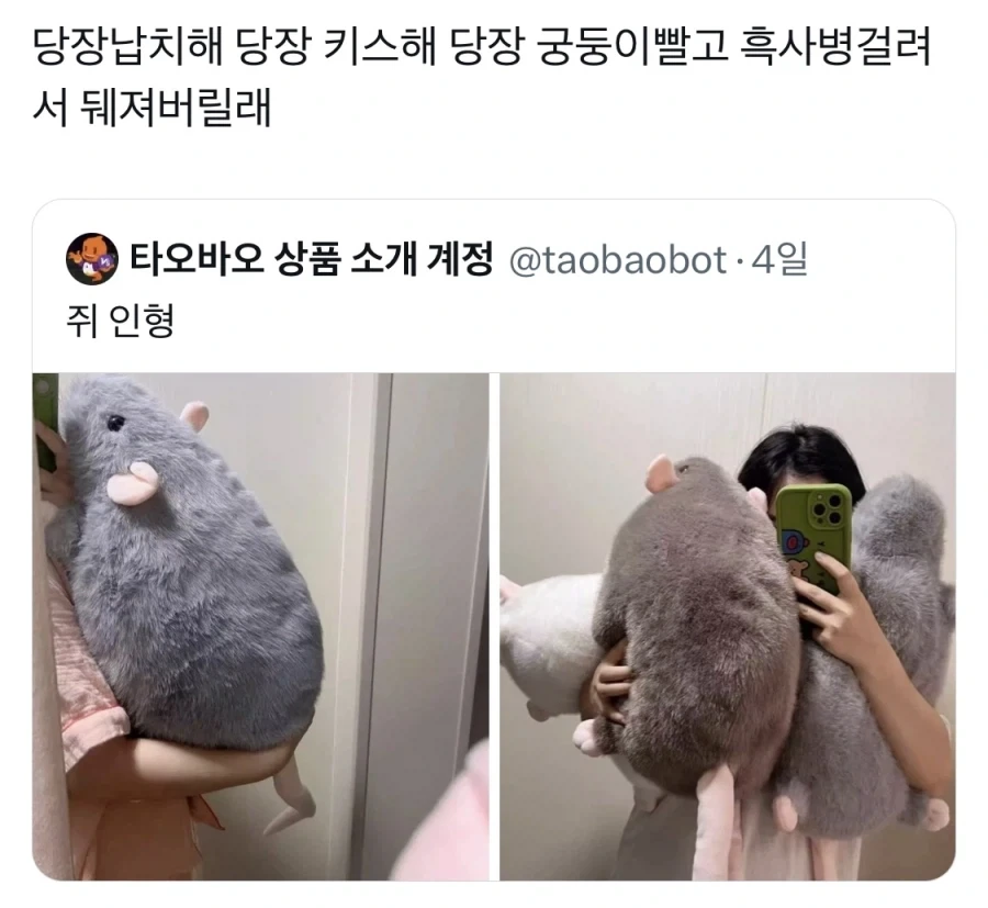 푹신한 쥐를 보고 정신을 놓은 x 유저_1.webp