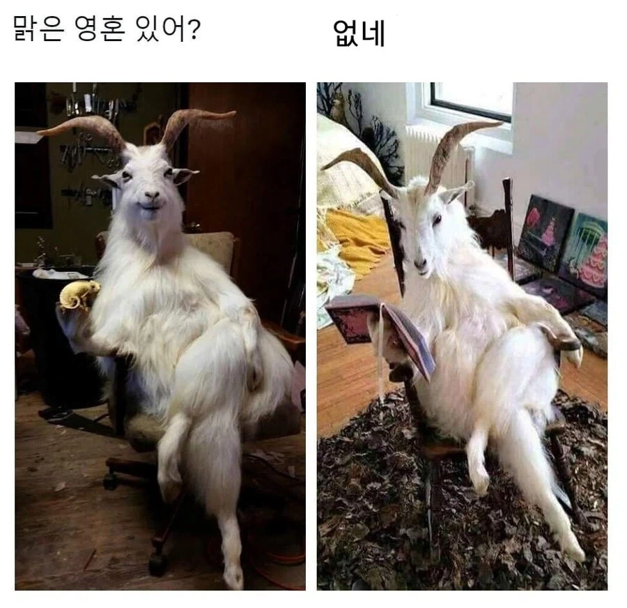 엣지러너2 새로 나온 티저 본 소감.jpg_1.webp