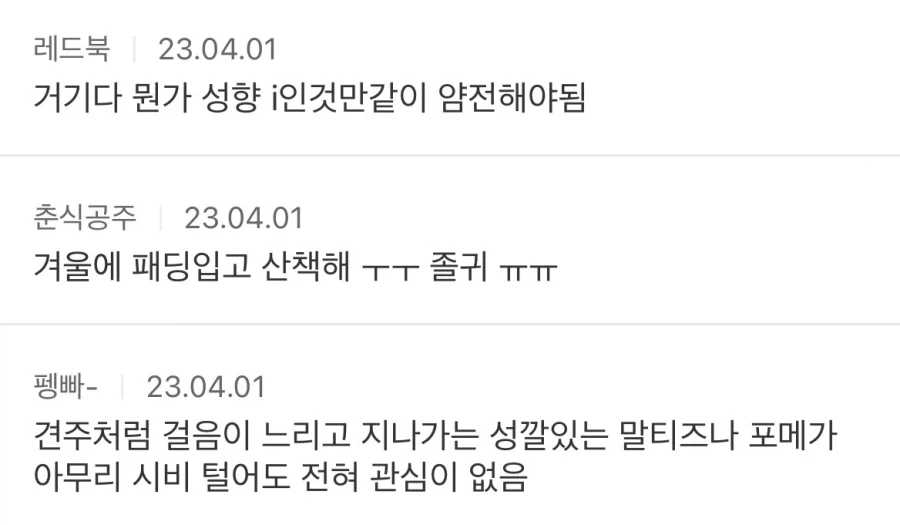 노인분들이 키우는 강아지들 특징_2.webp