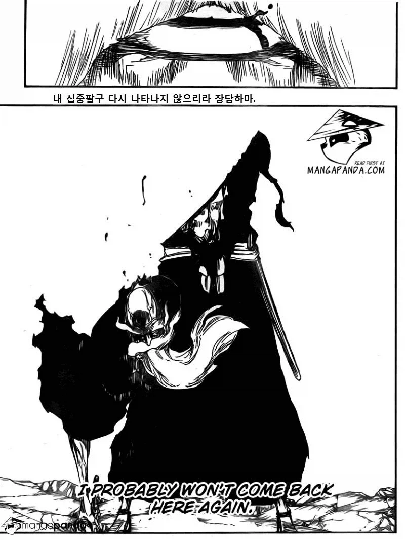 블리치) 이치고, 겐류사이보다 대단한 인간_2.webp