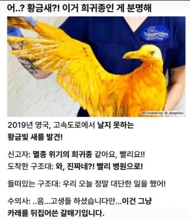 디스크의 종말 ㄷㄷ 플스 28년 1월부터 신작 디지털로만 판매 계획 이미지 2
