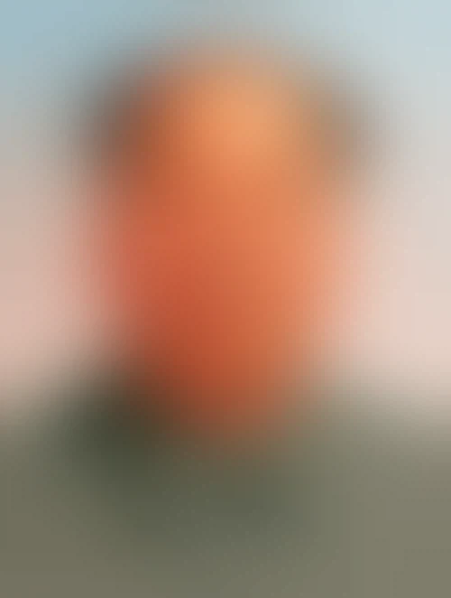 주식) 그분 등장_2.webp