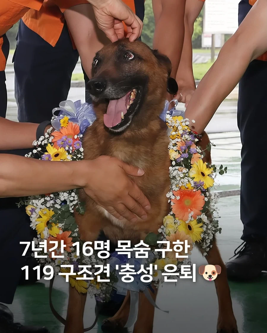 ???: 뭐 장소섭외? 그냥 복도에서 찍어! 이미지 5