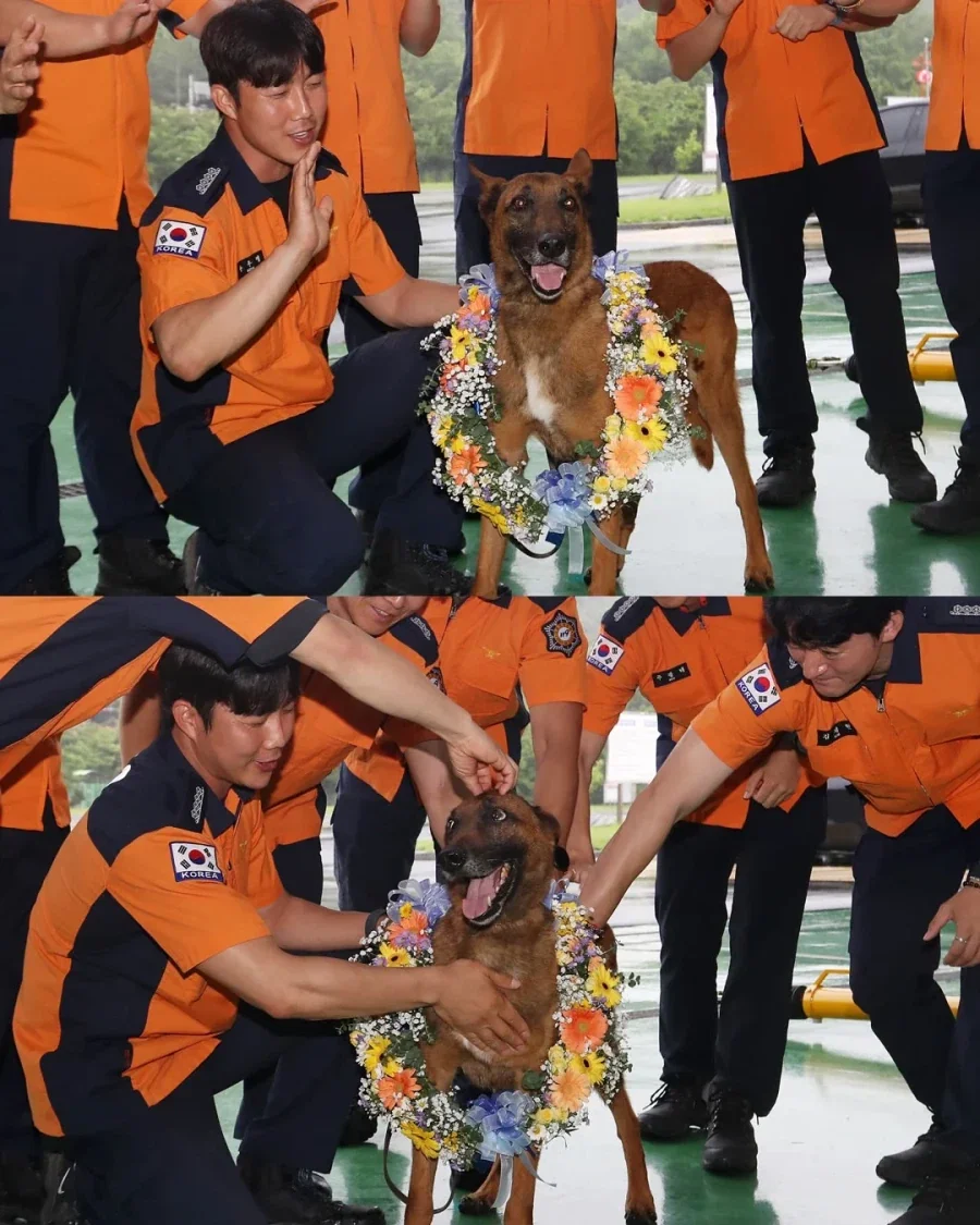 7년간 16명 구한 119구조견 은퇴_6.webp