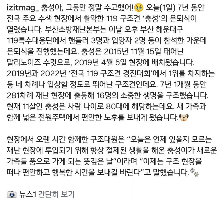 7년간 16명 구한 119구조견 은퇴_8.webp