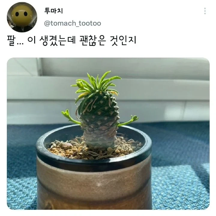 재평가의 재평가 받아버린 집단 이미지 3