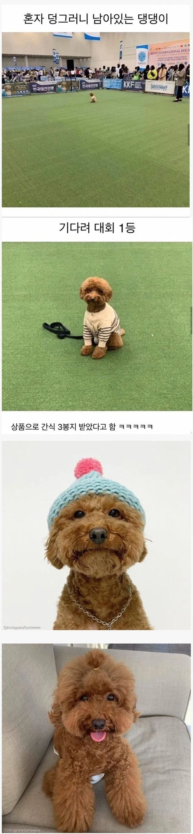 누가 공짜로 보내주는거 아니면 평생 해외여행 못 가는 유형 대표 이미지
