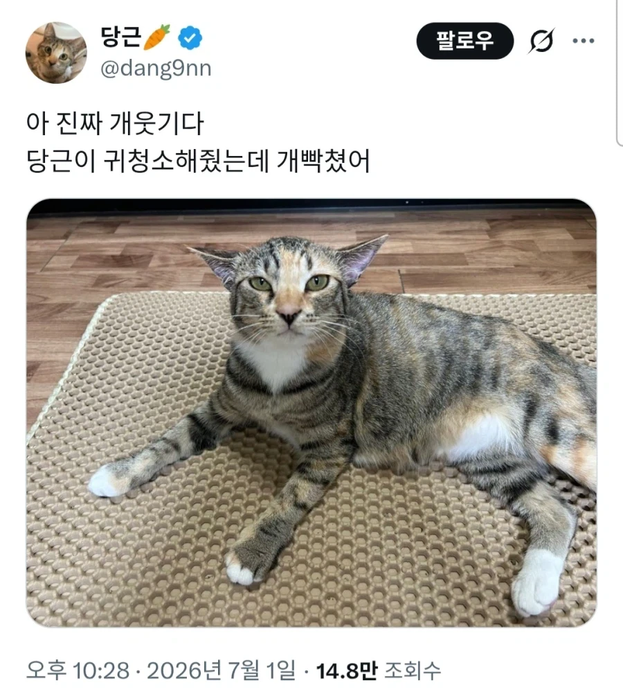 my computa-ga shinda 대표 이미지