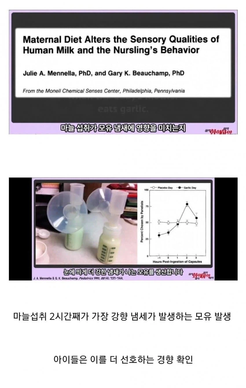 한민족 원조 퍼리충.hwan_2.webp