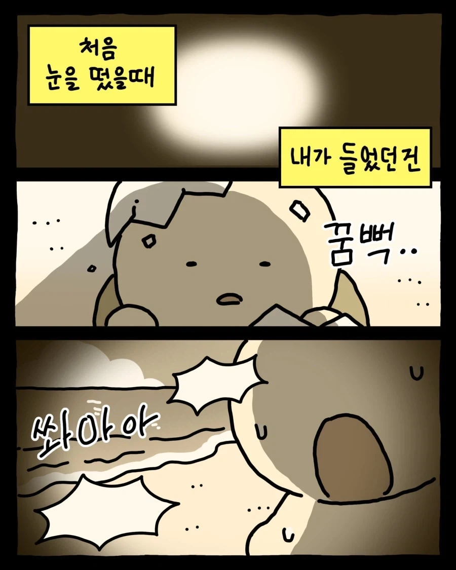 케로로 웨이브로 정주행중인데 대표 이미지