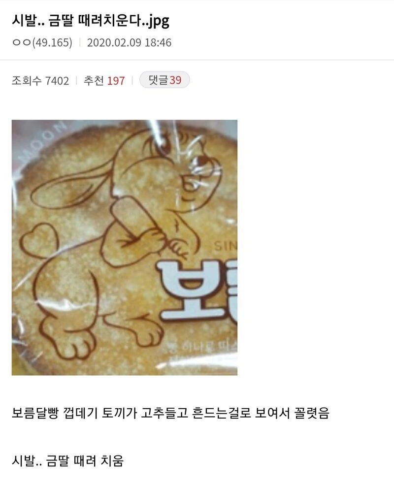 완벽한 한쌍의 커플 대표 이미지