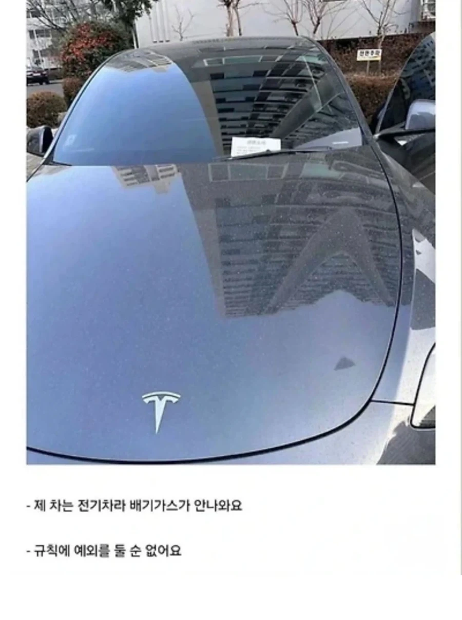 "규칙에 예외는 없어요" 이미지 2