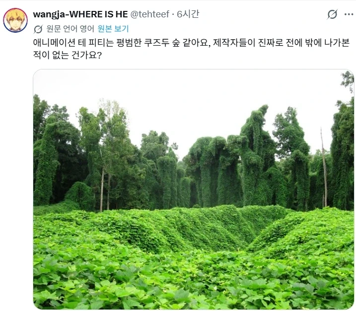 디즈니 실사팀 색맹 설_2.webp