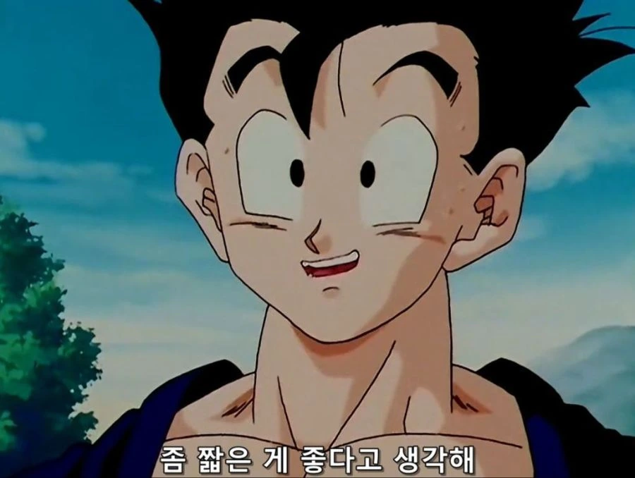 스팀 여름 포인트 상점 팁 대표 이미지