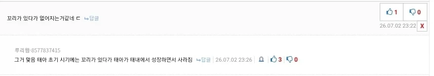 사람에게도 꼬리가 있다는 전제를 생각해 봤는데_2.webp