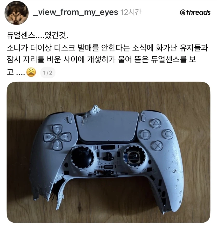 친일후손 국적포기자가 잠시 늘어났던 이유.jpg 대표 이미지