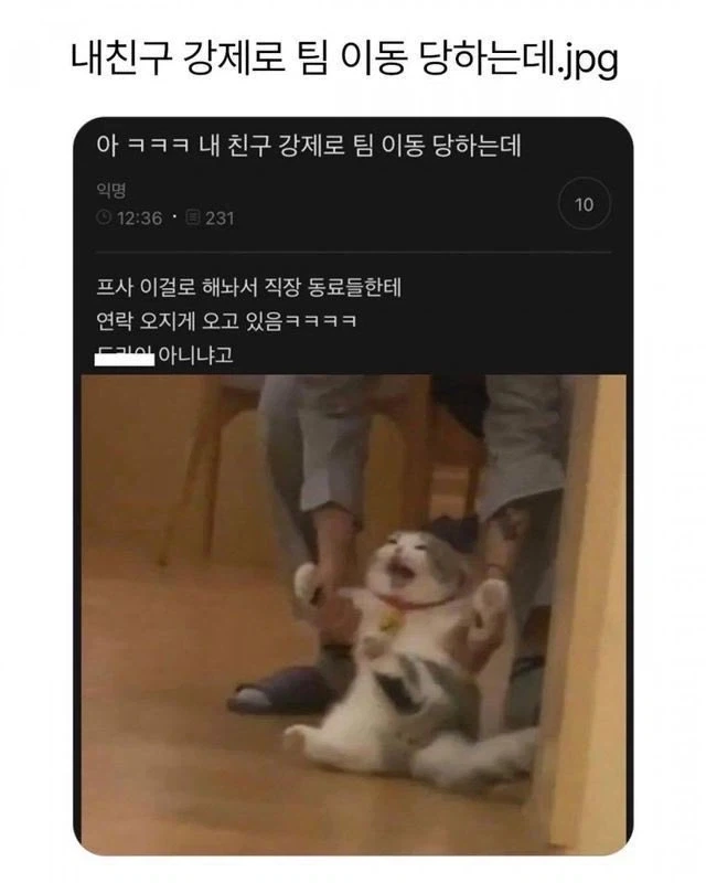 35만원찌리 피규어 이미지 5
