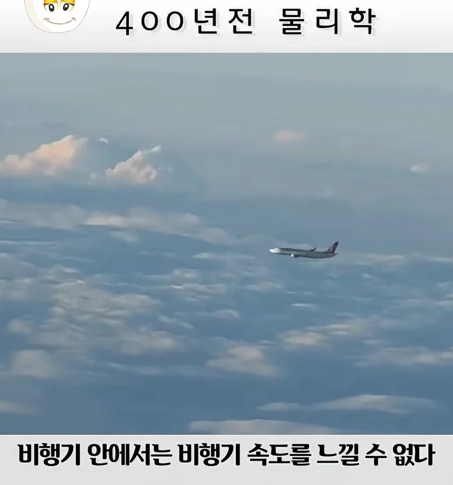 미국으로 입양보내진 이유 레전드 이미지 3