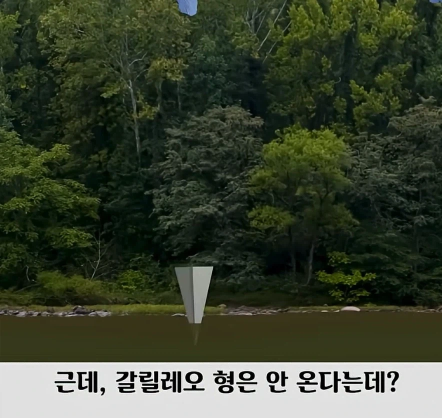 유튜브에서 보면 진짜 기분나빠지는 댓글.jpg_4.webp